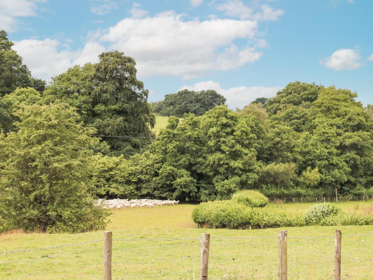 Holly Farm Cottage Newbridge on Wye Eksteriør bilde